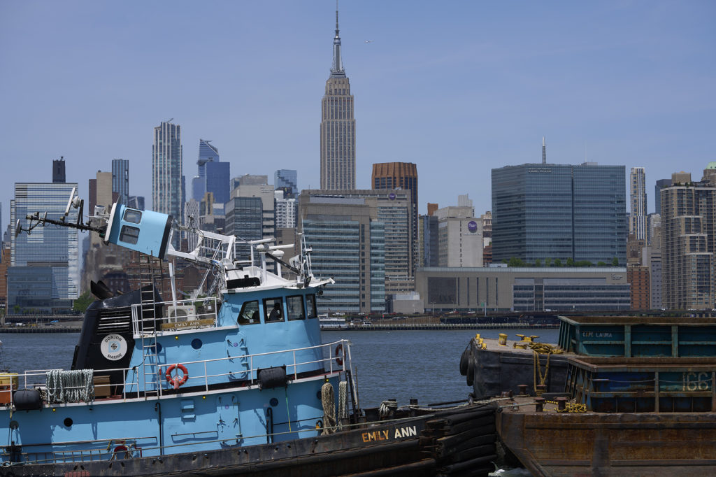 The Emily Anne